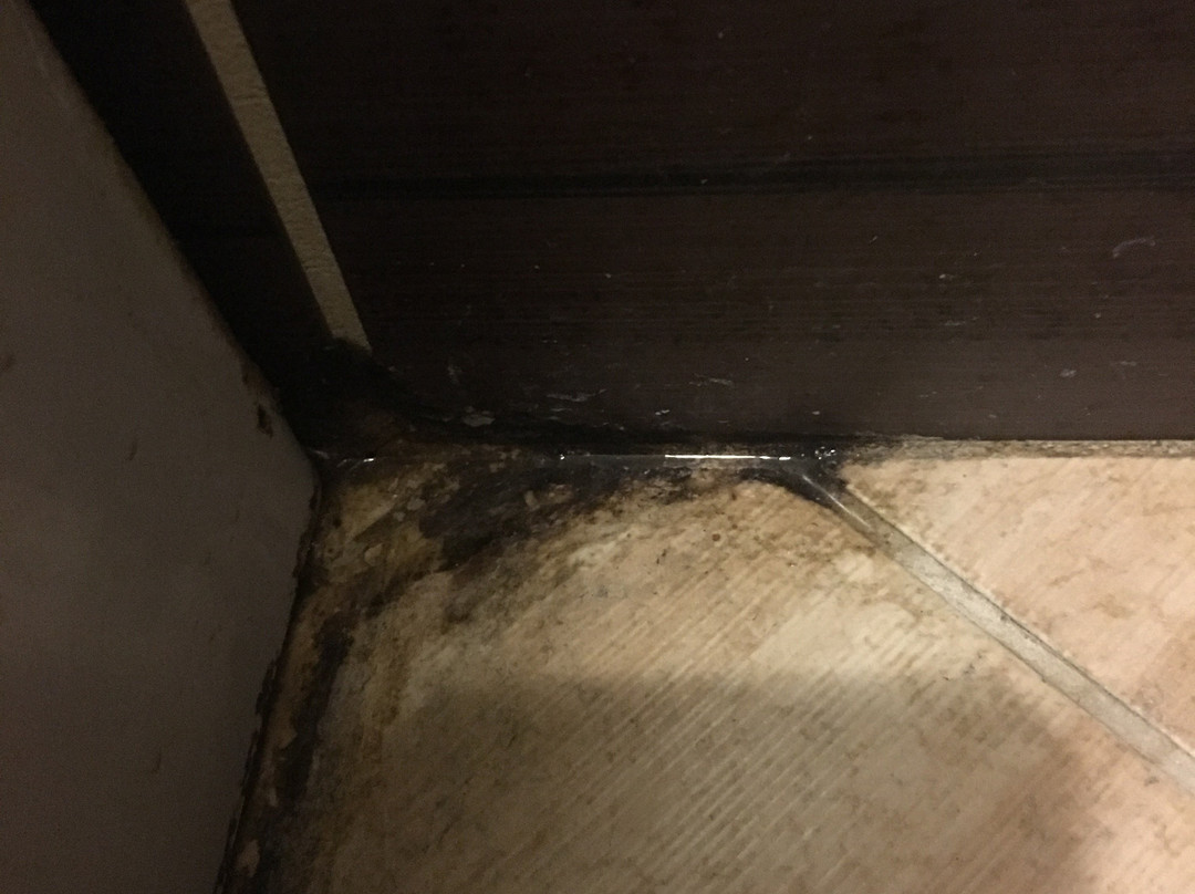 Tri Korony Hotel主图