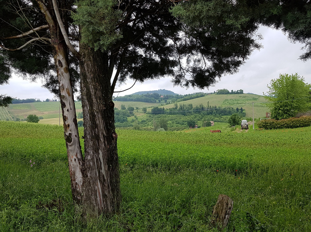 Azienda Agricola I Monticelli-Savignano sul Panaro必去景点
