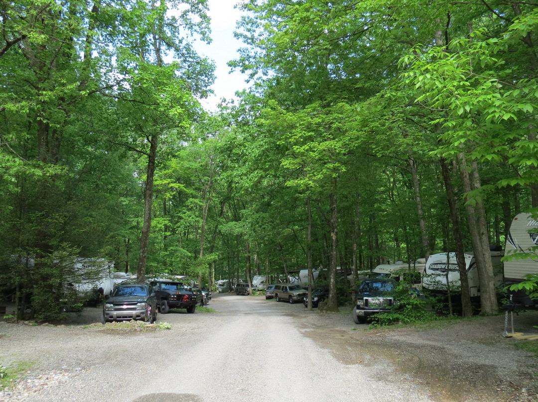 Camp-A-While Campground景点图片