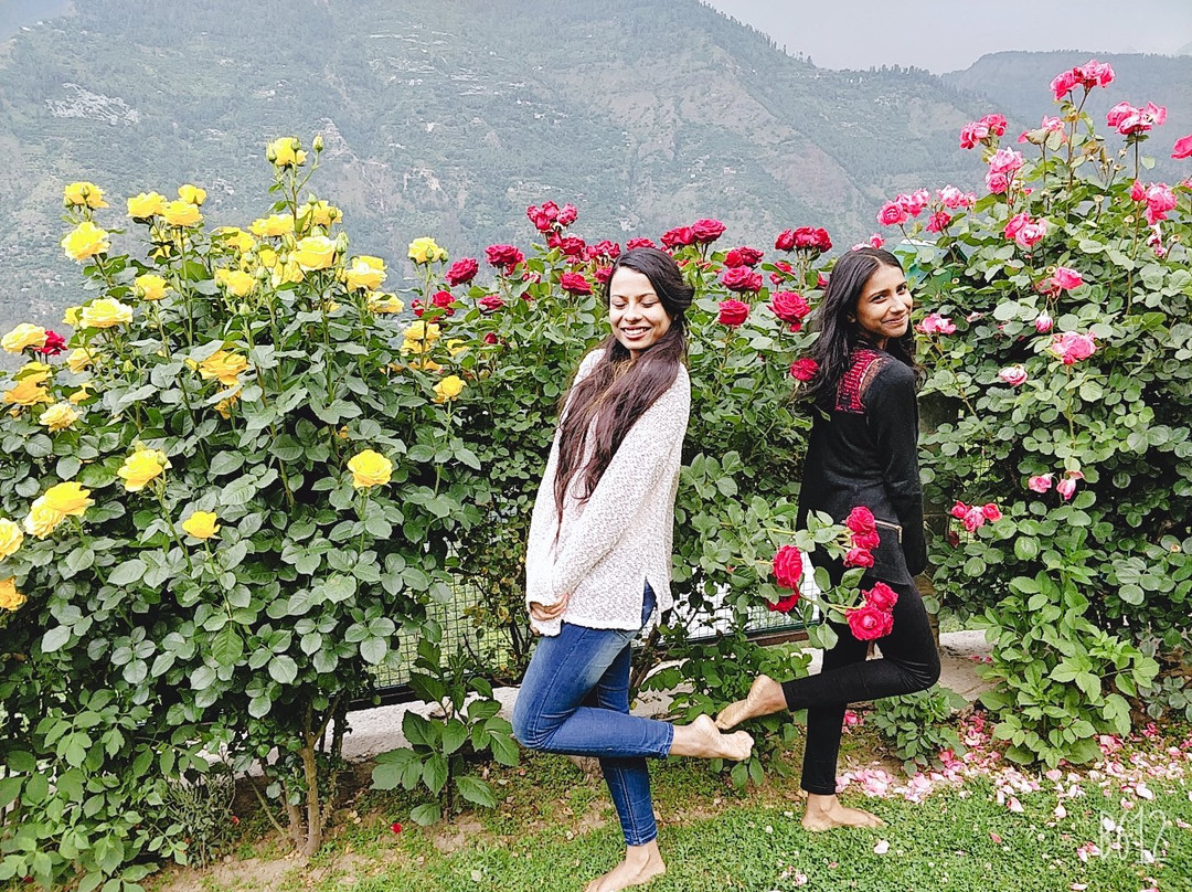 Himalayan Kothi Kais主图