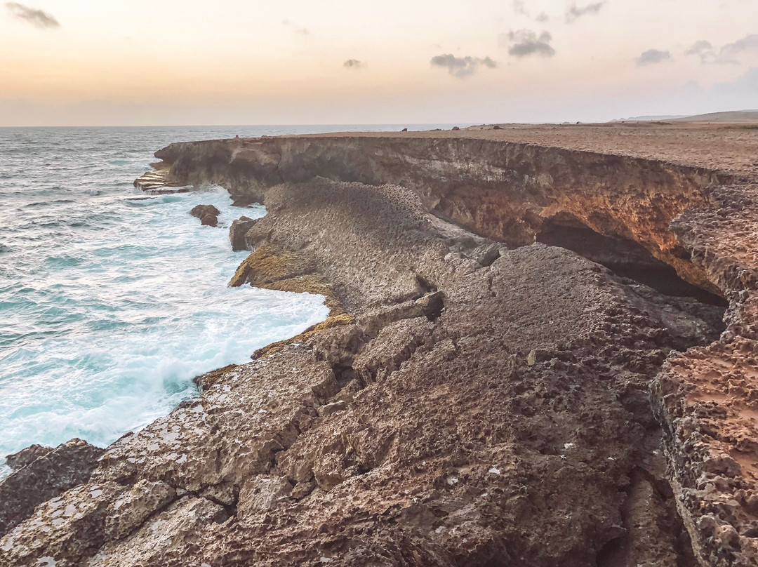 Aruba Sunrise Tours-萨瓦内塔必去景点