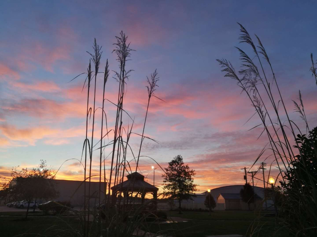 Hampton Inn Evansville/Airport主图