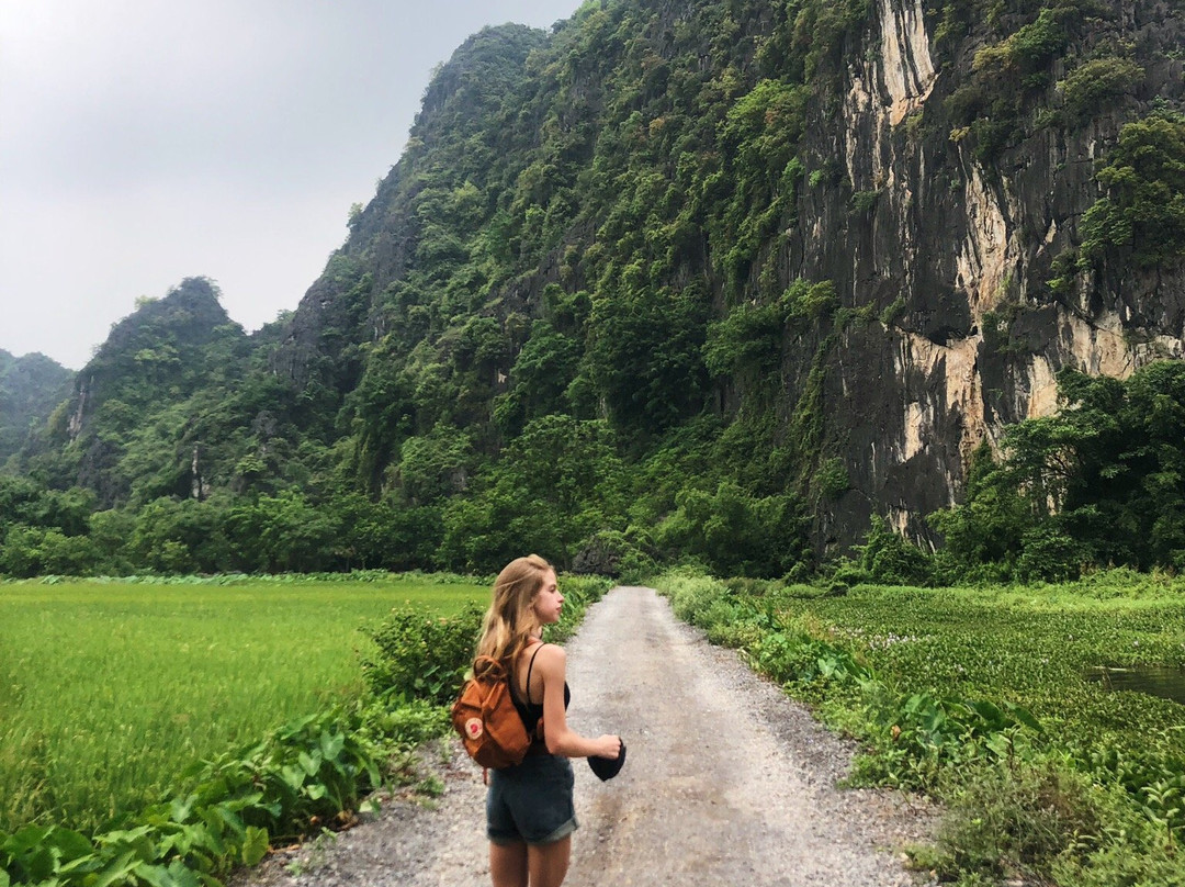 Ninh Binh Daily Tour景点图片