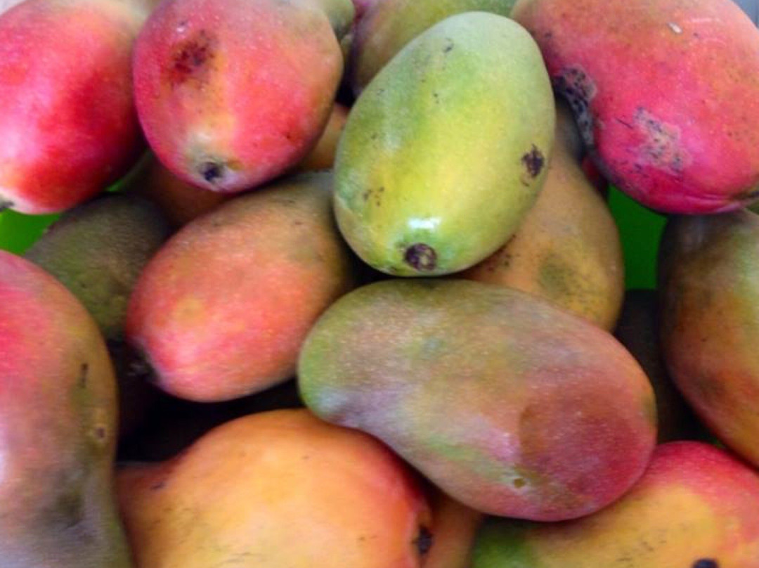 Mercado Municipal-蒙波斯必去景点