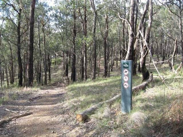 Critchley Parker Junior Reserve-Beaconsfield Upper必去景点