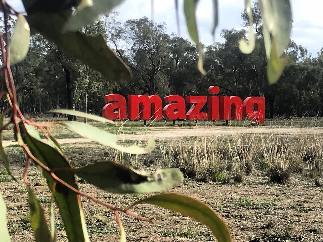 Sculpture Down the Lachlan-Forbes必去景点