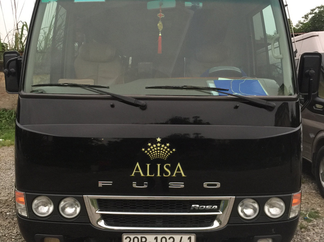 Alisa Premier Cruise景点图片