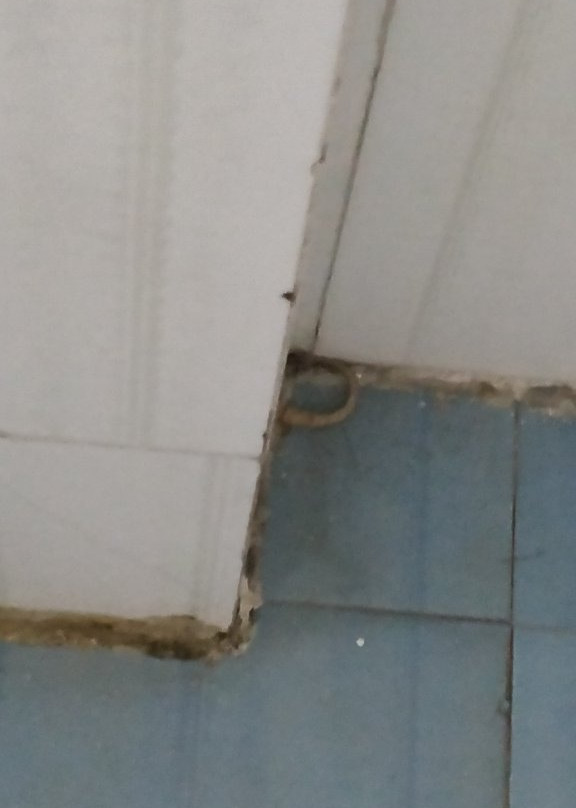 Treebo Trend JD Residency主图