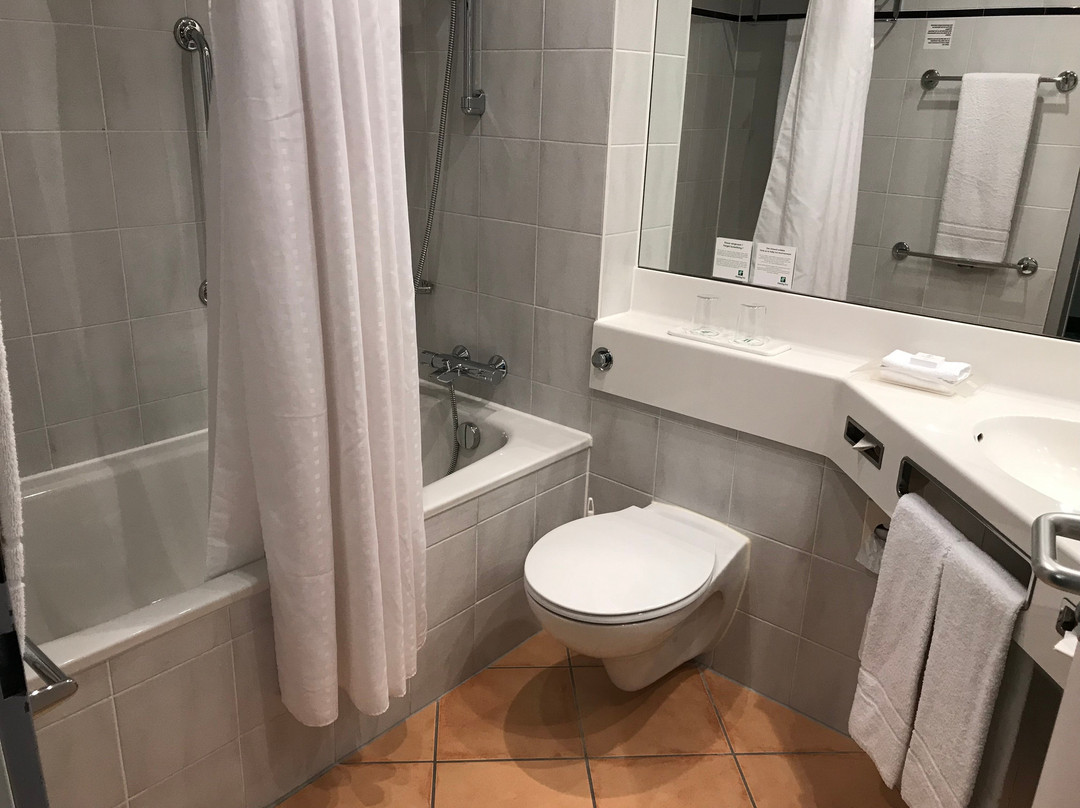 斯图加特假日酒店主图