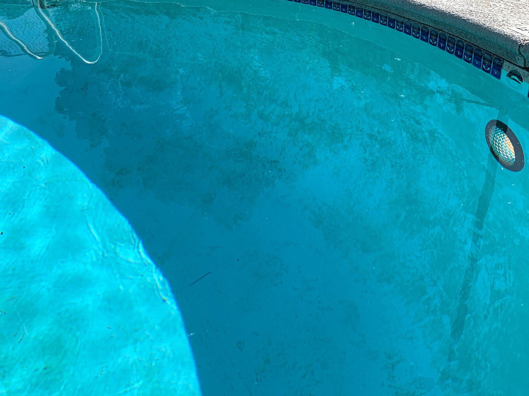 Super 8 by Wyndham Redding主图