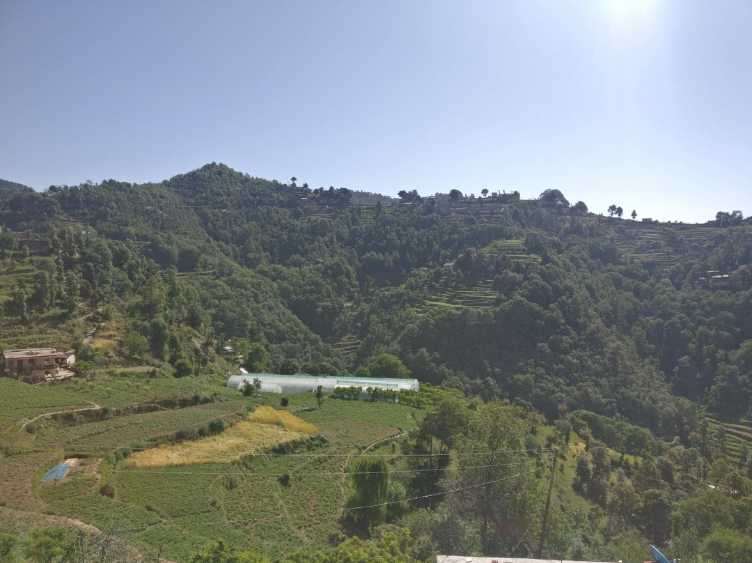 Zostel Mukteshwar主图