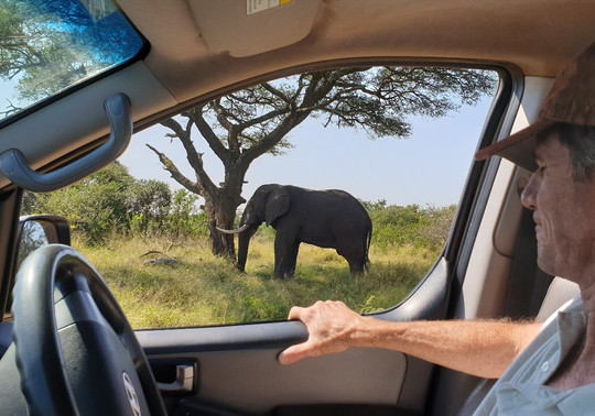 Durban Tours and Safaris-德班必去景点