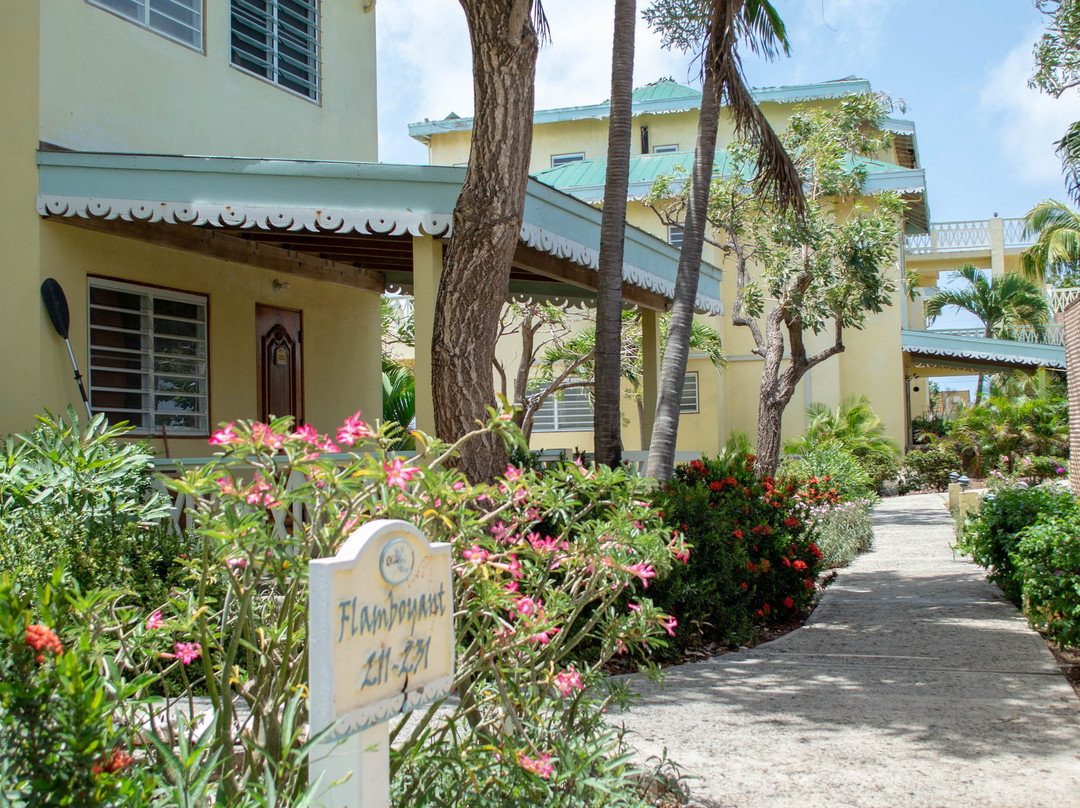 Virgin Gorda Village主图