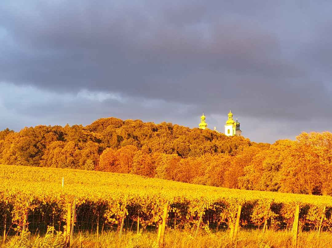 Camaldolese Hermit Monastery-克拉科夫必去景点