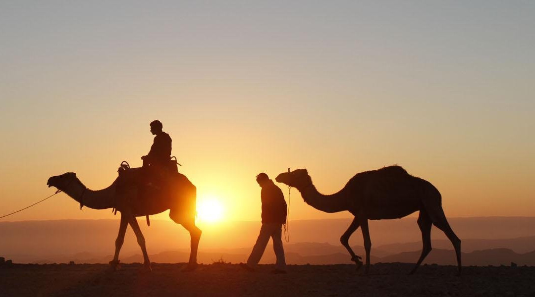 SunsetCamelRideAgadir