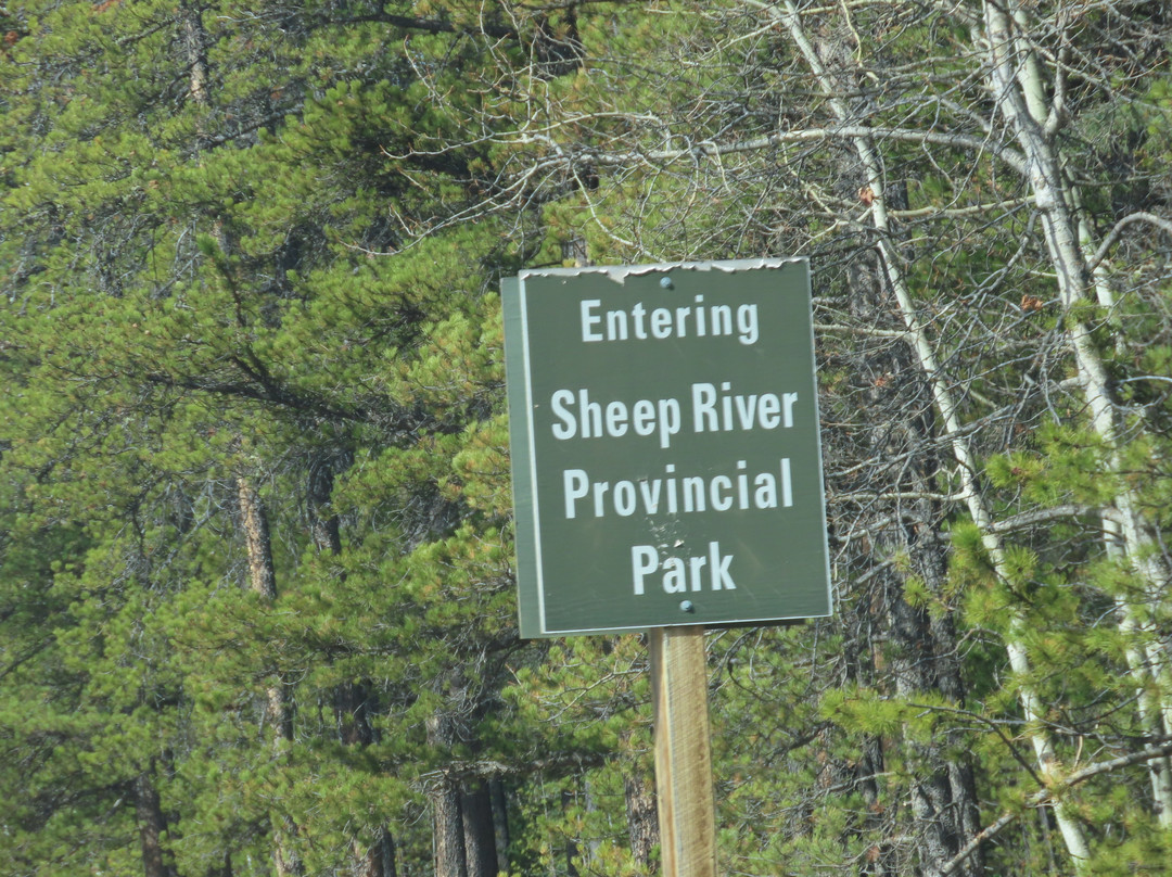 Sheep River Provincial Park景点图片