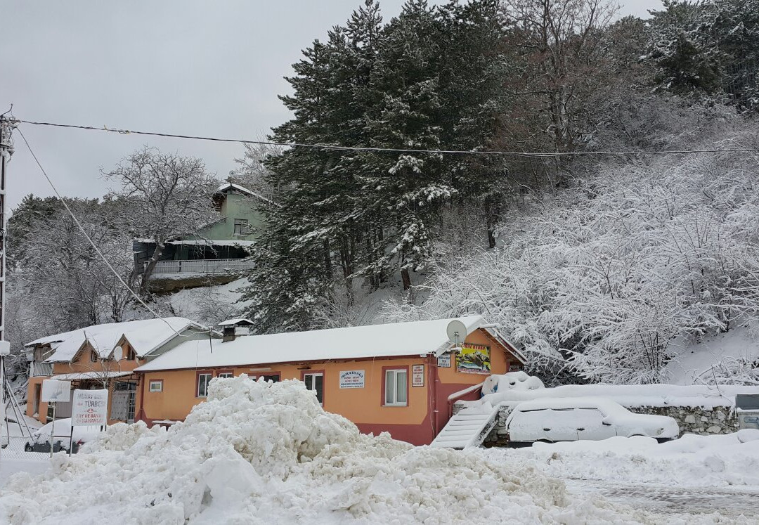 Murat Dağı Kayak Merkezi景点图片