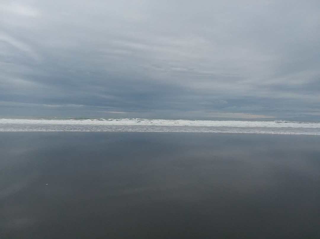 Humboldt Bay景点图片