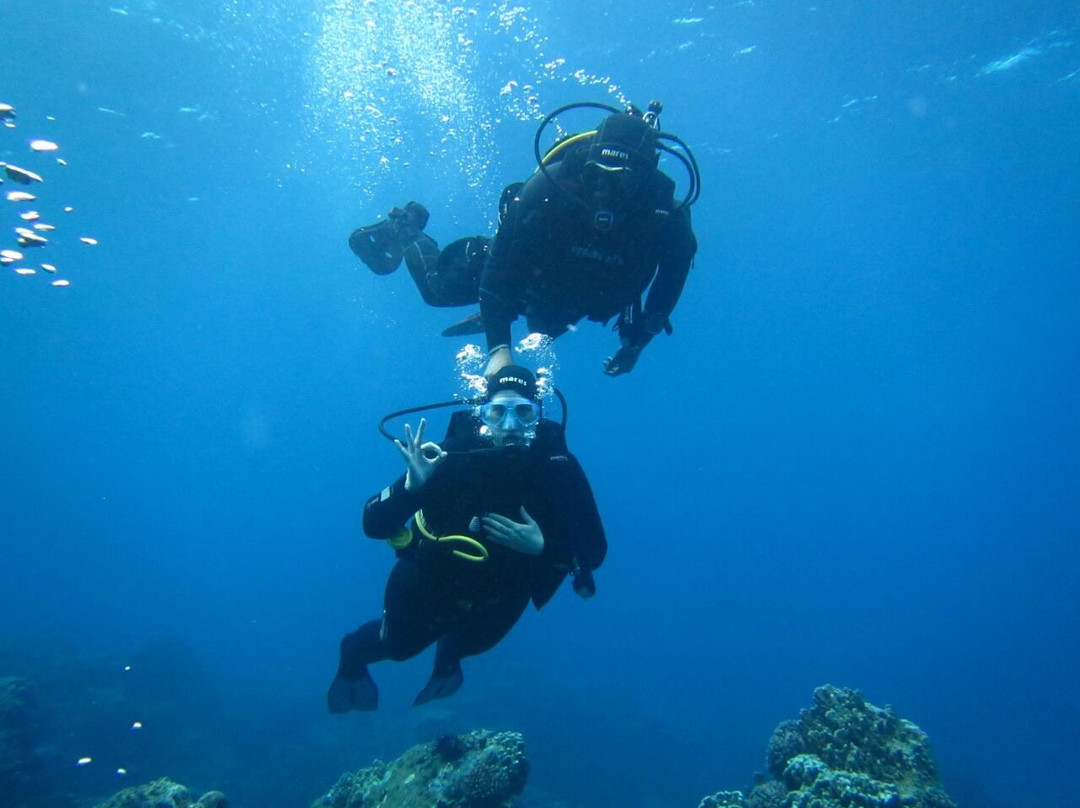 Rapa Nui Dive Center-安加罗阿必去景点