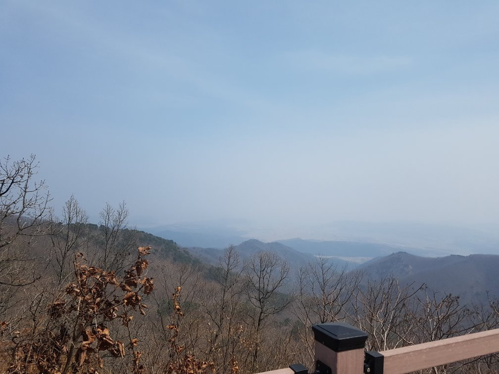 Botanical Garden Of Gyeongsangbukdo景点图片