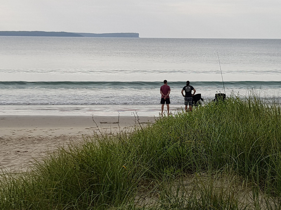 Collingwood Beach景点图片