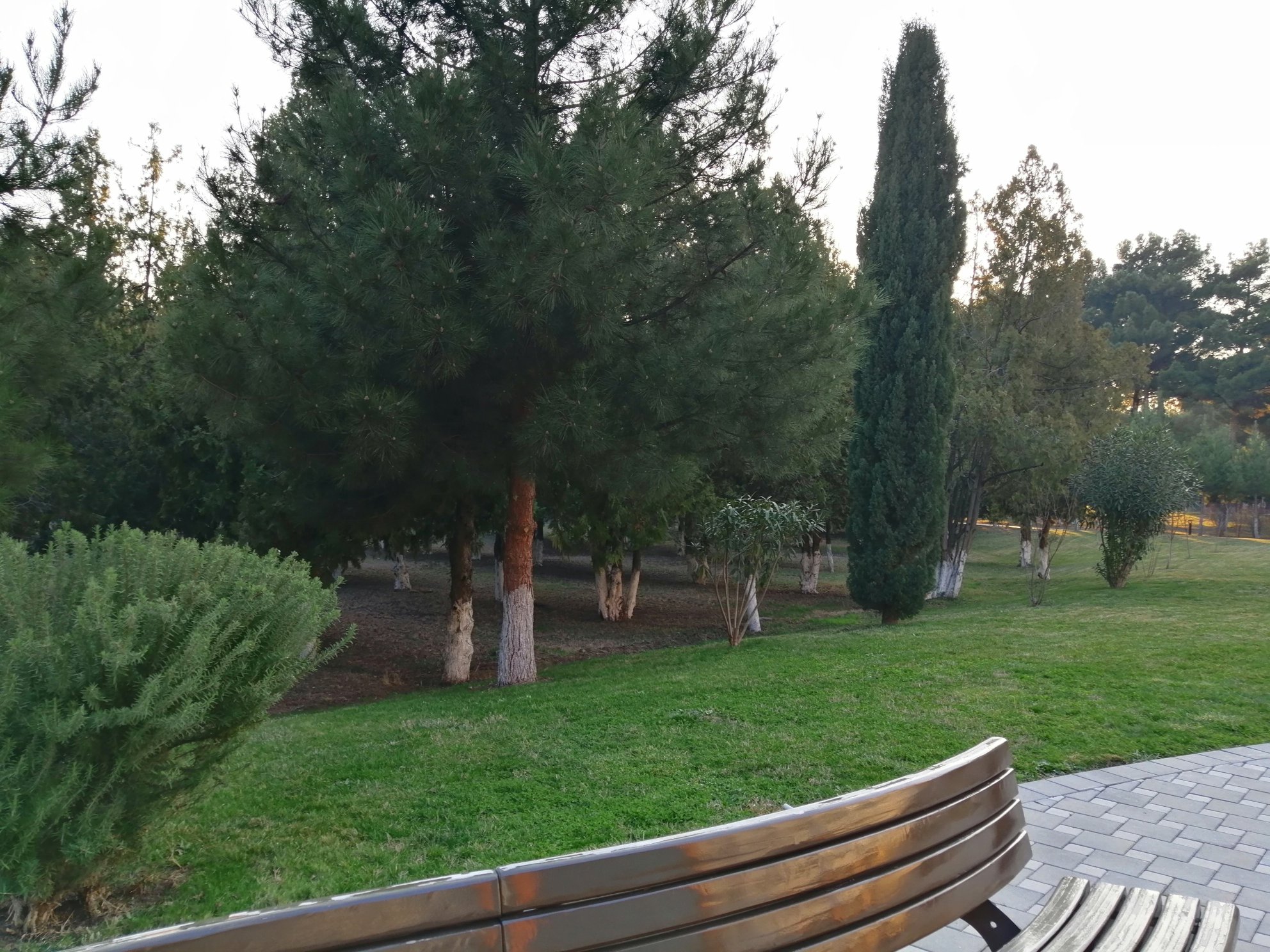 Chinar Hotel & Spa - Naftalan-浴室