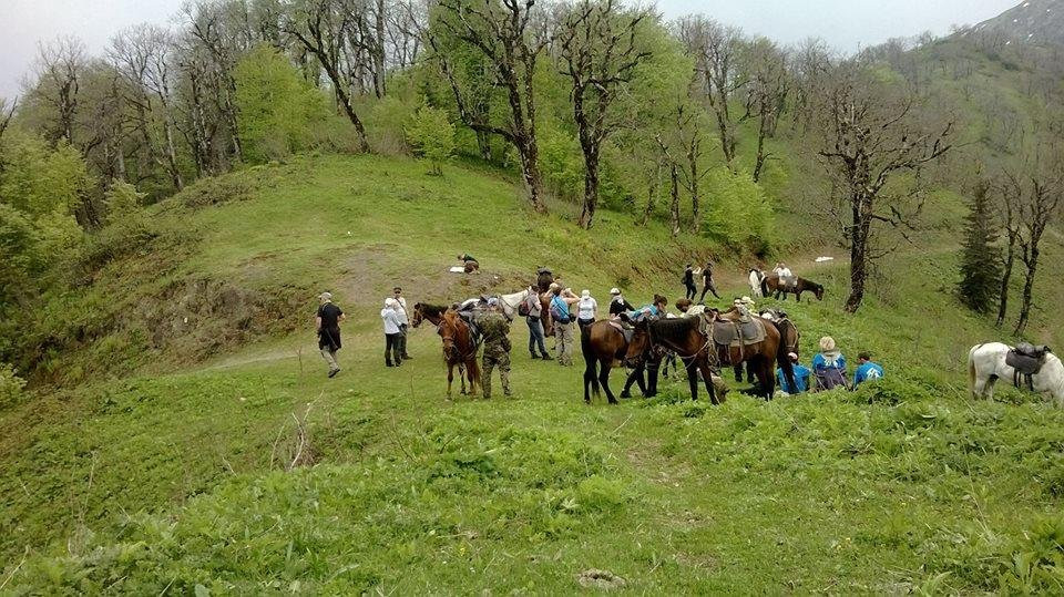 Borjomi horse tours-Borjomi必去景点