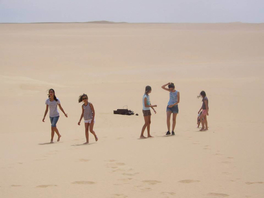 Le Jardin Sous La Lune主图