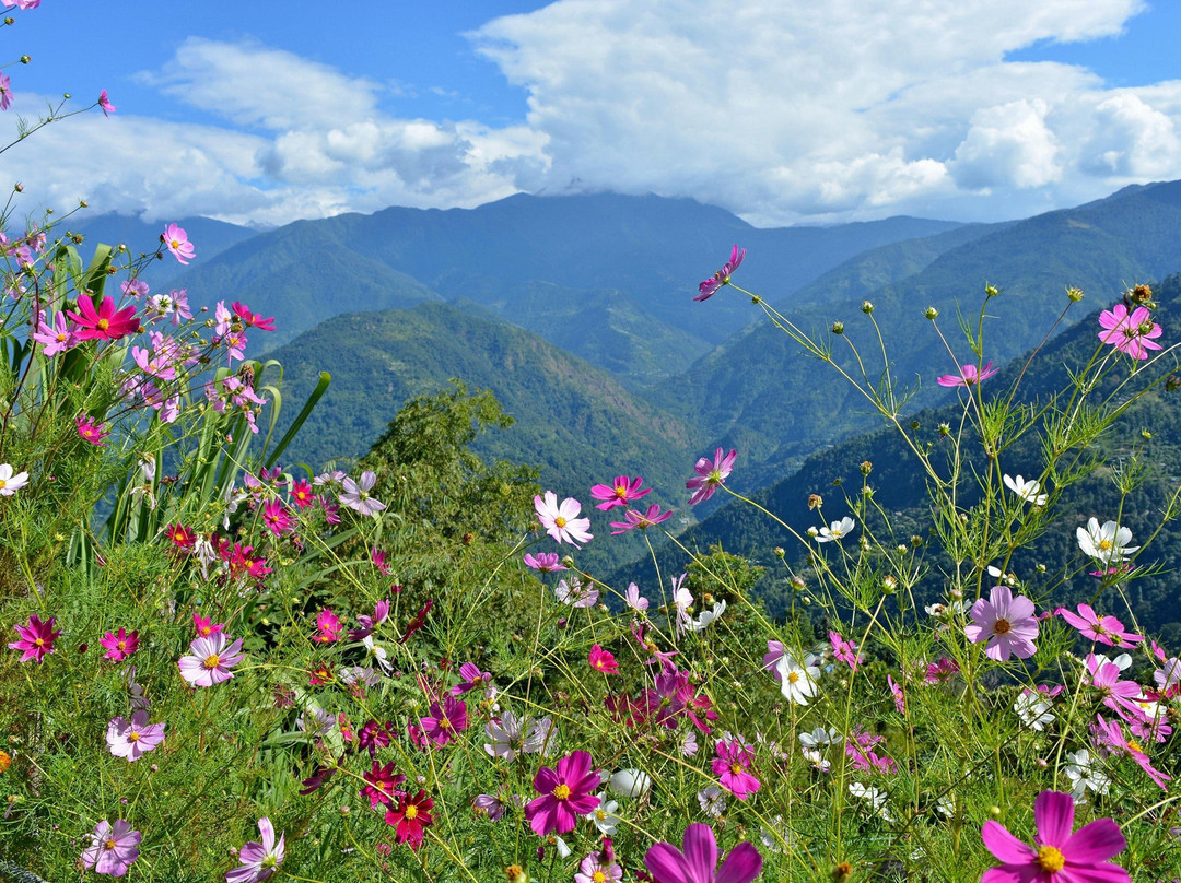 Kalpadeep Holidays and Events Pvt. Ltd.景点图片