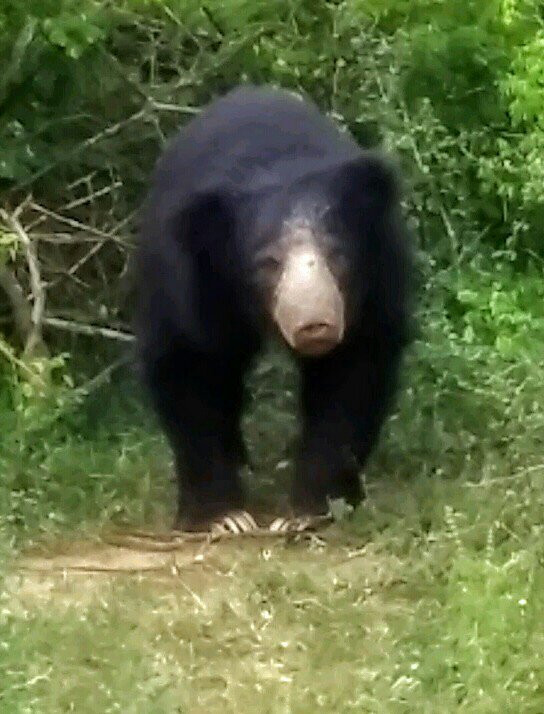 The Rock Hotel主图