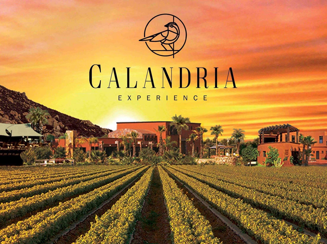 Calandria Experience-恩塞纳达必去景点