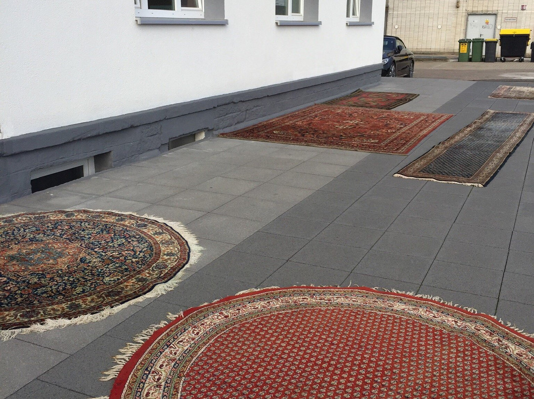 Hotel Castle Rastatt主图