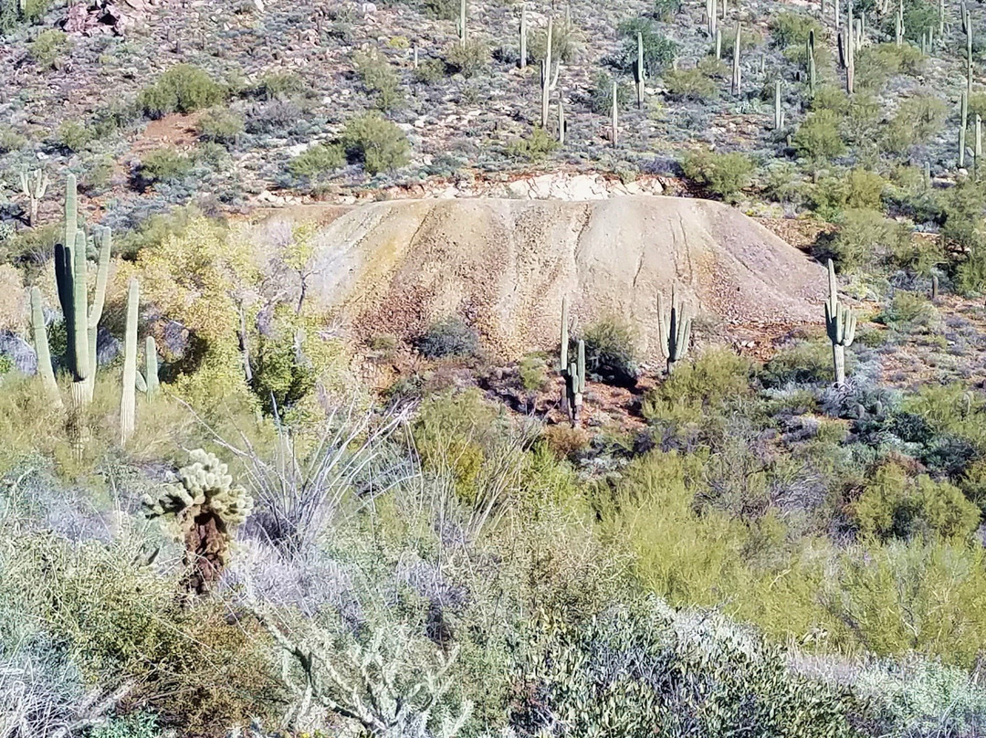 Dixie Mine Trail-Fountain Hills必去景点