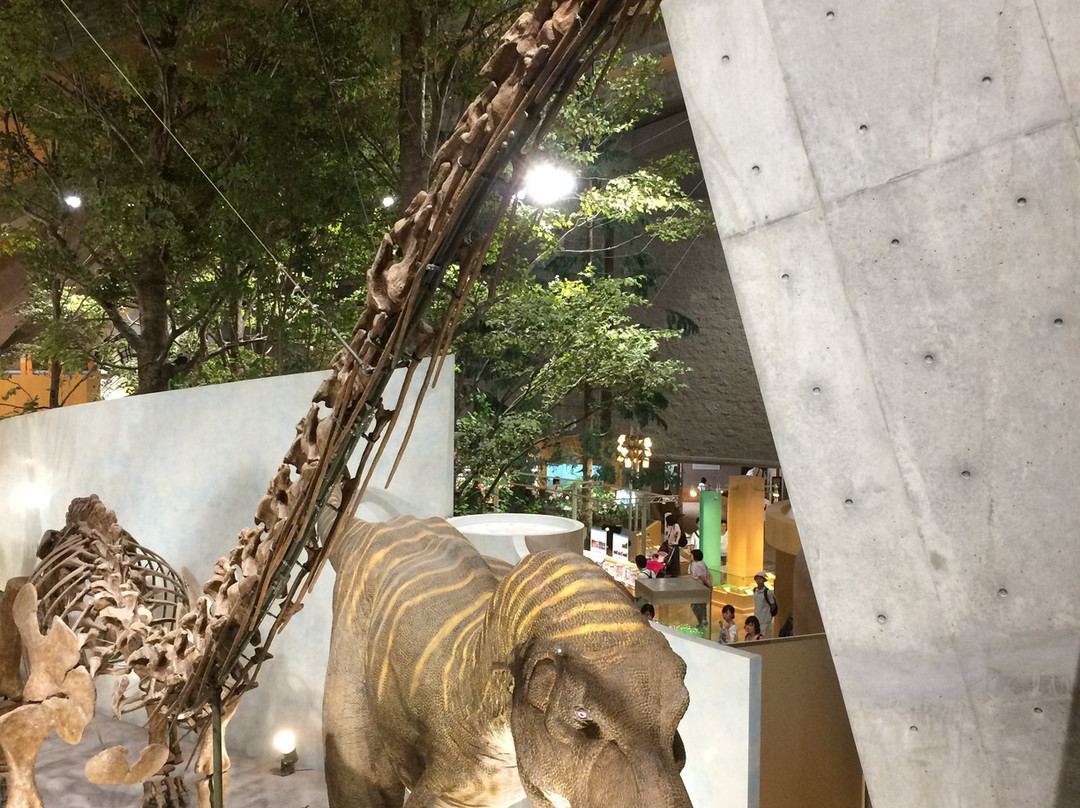 Gunma Natural Museum景点图片