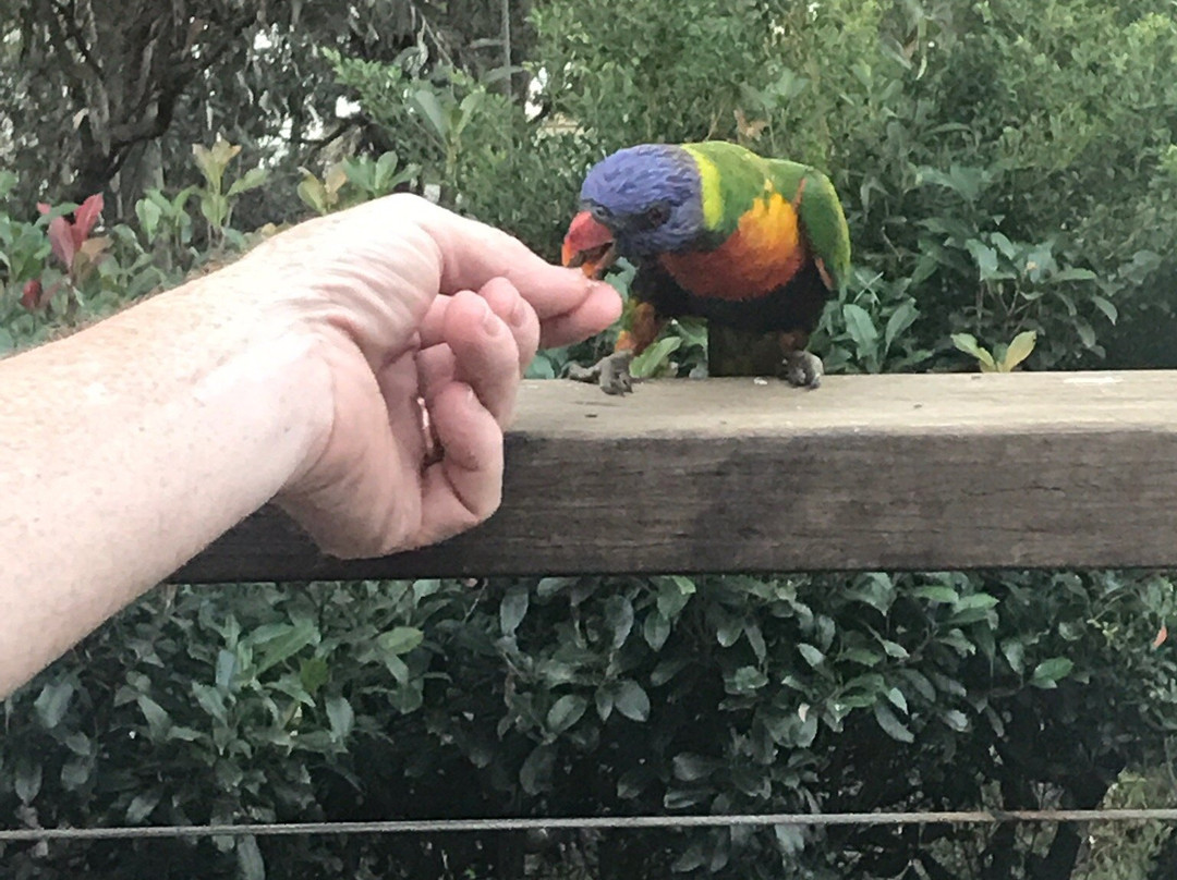 苏格兰岛寄宿酒店主图