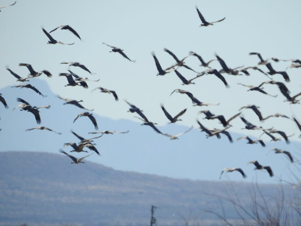 Cochise Lake-Willcox必去景点