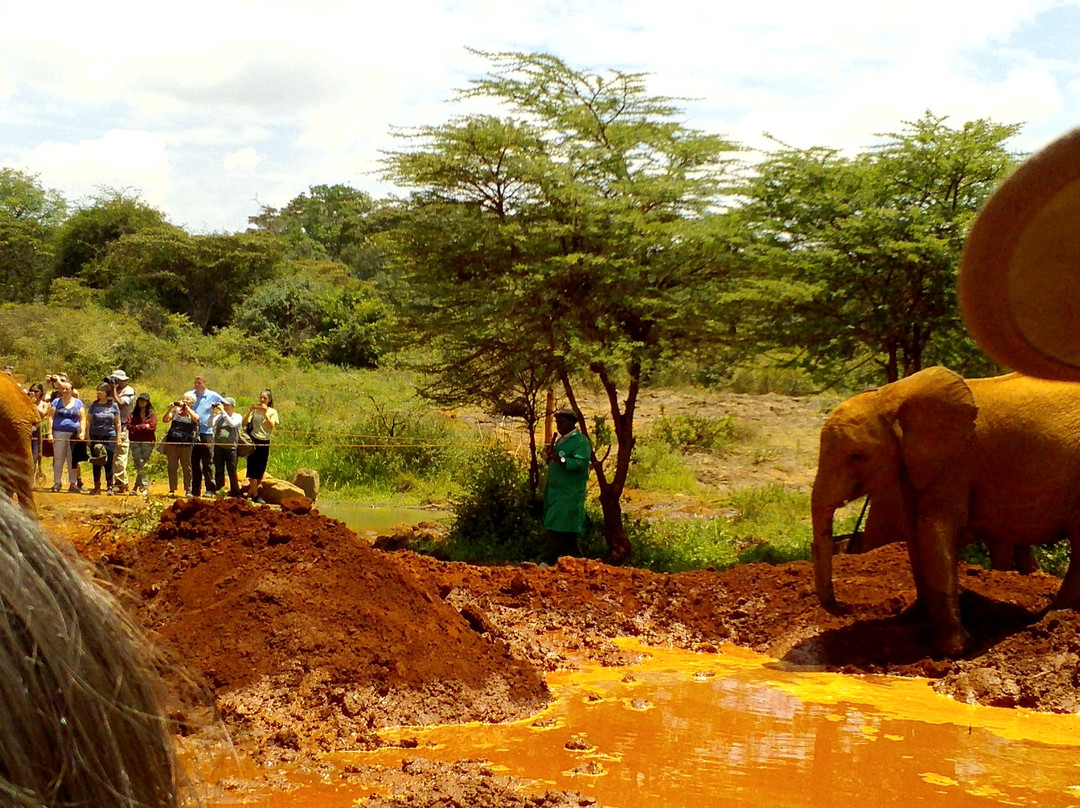 Visit Kibera Expeditions-内罗毕必去景点