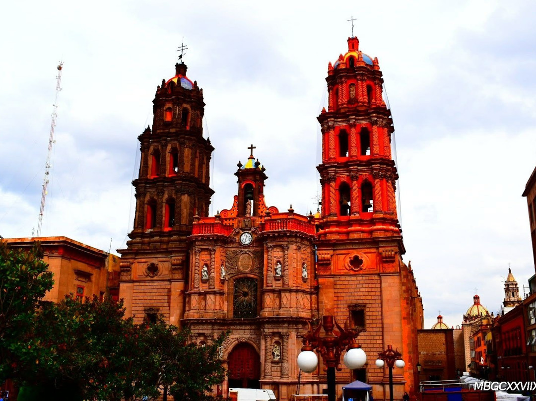 Cathedral of San Luis Potosí景点图片