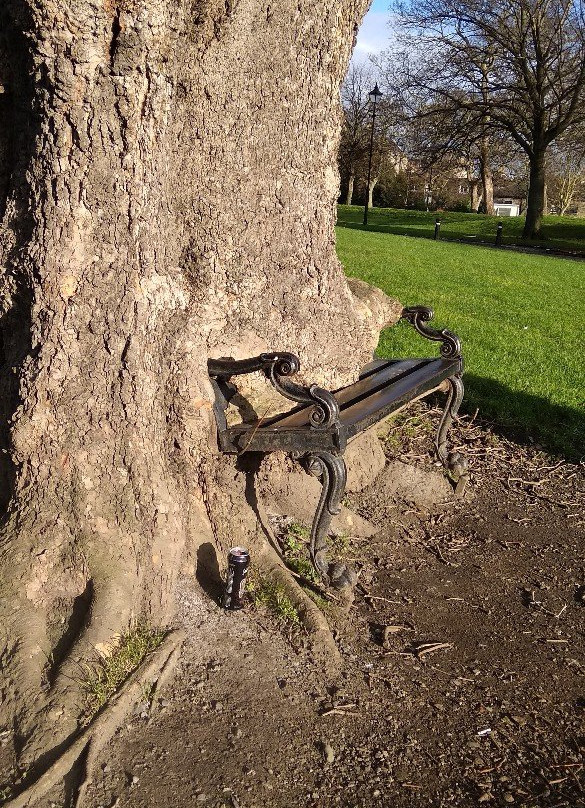 The Hungry Tree-都柏林必去景点