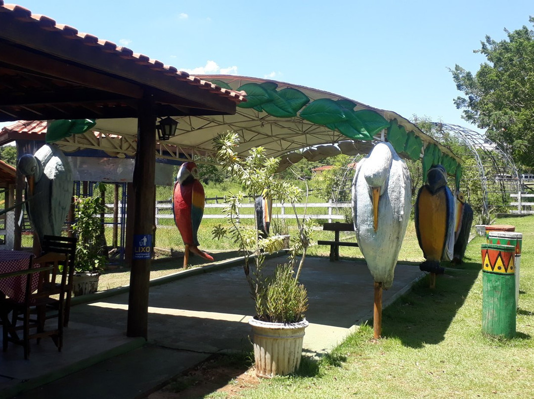 Fazendinha Vo Braulio