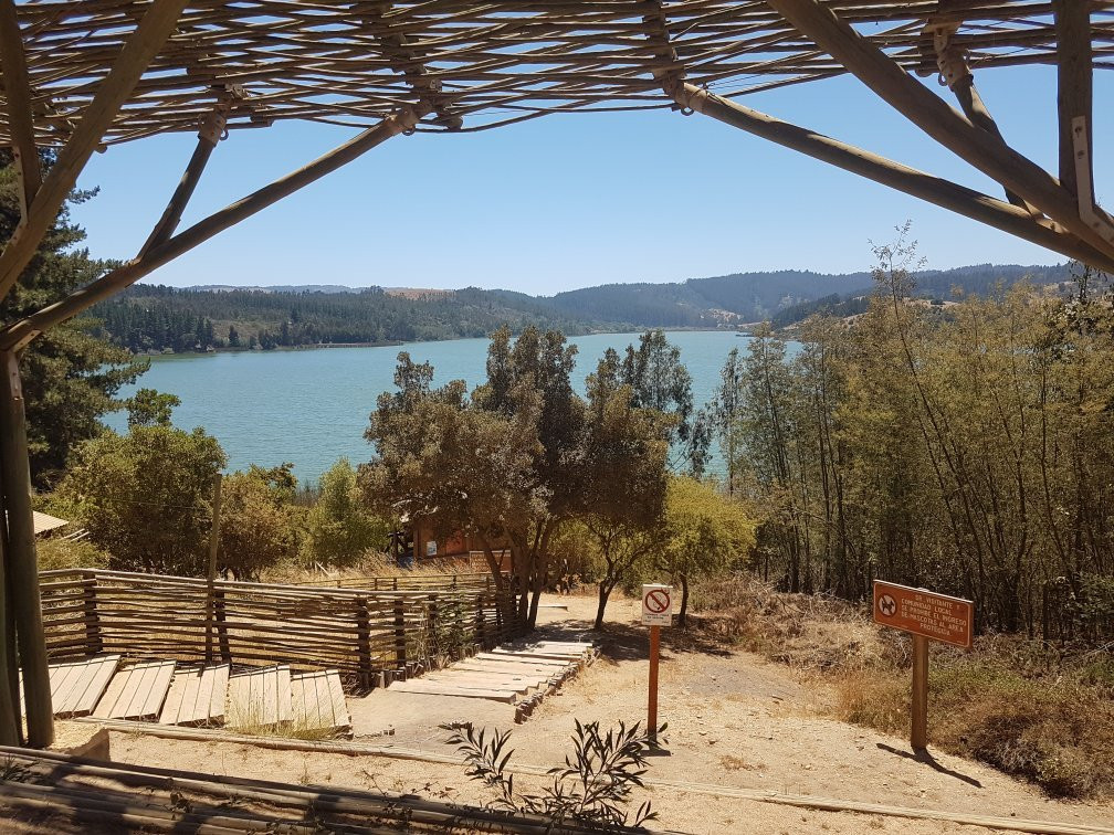 Reserva Nacional Laguna Torca-Llico必去景点