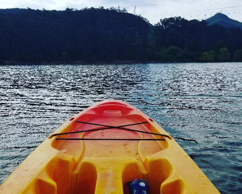 Carvins Cove Natural Reserve-罗阿诺克必去景点