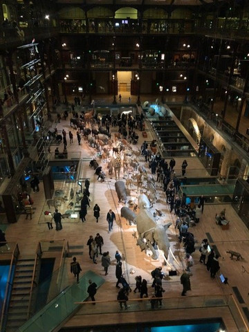 大演化厅-巴黎必去景点