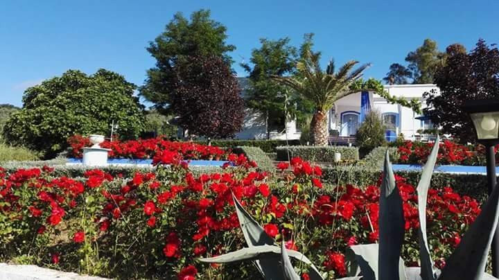 Hotel Casa Grande Casa Rural主图