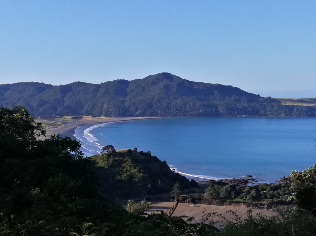 Hicks Bay Motel Lodge主图