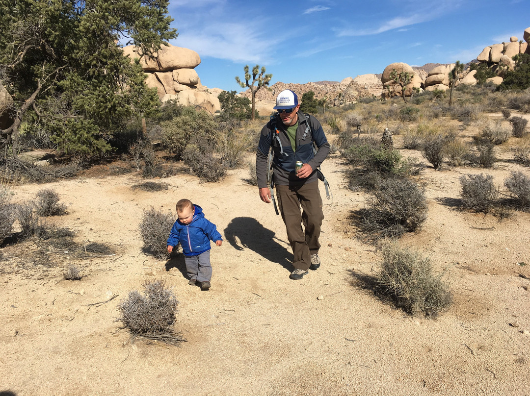 Stone Adventures-约书亚树必去景点