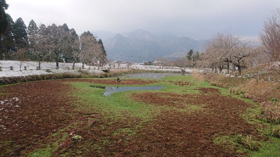 Myojin Pond Meisui Park景点图片