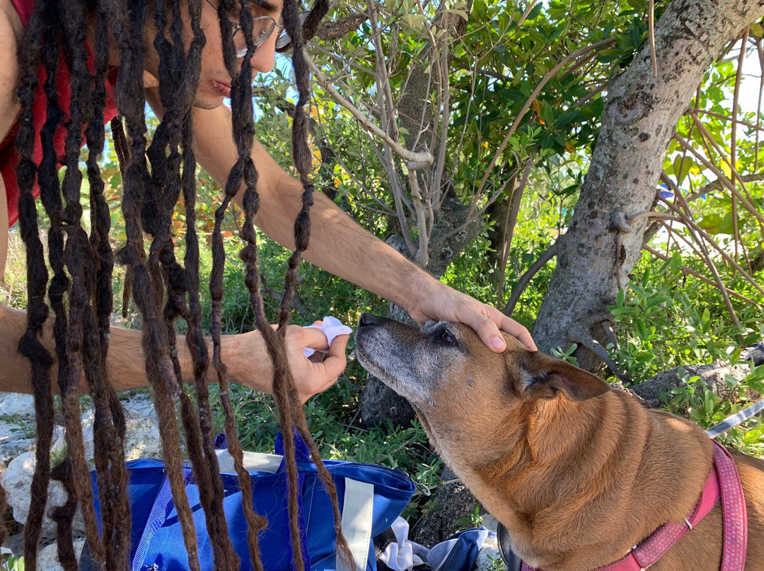 Rickenbacker Causeway Beach-比斯坎湾必去景点
