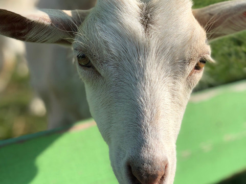 Dolina Koz-Parshina必去景点