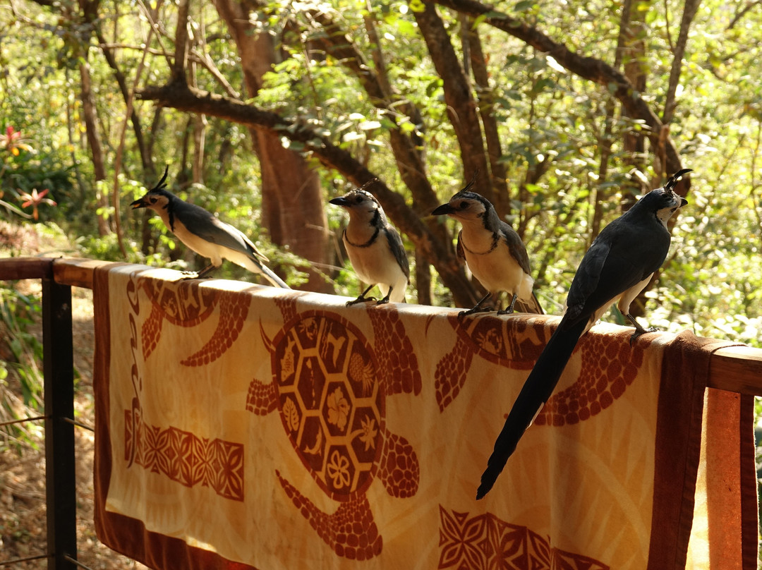 Villas Punta India主图